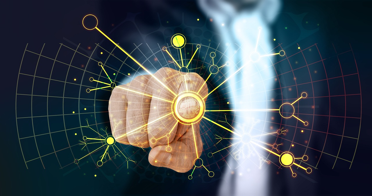 ERP  Consulting